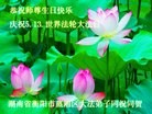 法轮功,湖南大法弟子恭贺世界法轮大法日暨师尊华诞(26条)
