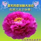 ֹ,ӱ󷨵ӹ編ִʦ𻪵(28)
