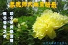 ֹ,󷨵ӹ編ִʦ𻪵(25)
