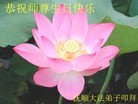 ֹ,󷨵ӹ編ִʦ𻪵(26)

