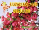 ֹ,ɽ󷨵ӹ編ִʦ𻪵(20)
