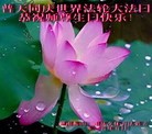 法轮功,湖南大法弟子恭贺世界法轮大法日暨师尊华诞(26条)
