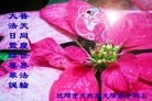 ֹ,󷨵ӹ編ִʦ𻪵(23)
