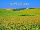 法轮功,湖南大法弟子恭贺世界法轮大法日暨师尊华诞(26条)
