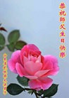 ֹ,д󷨵ӹ編ִʦ𻪵(25)
