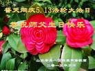 ֹ,ൺ󷨵ӹ編ִʦ𻪵(26)
