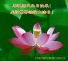 ֹ,󷨵ӹ編ִʦ𻪵(29)
