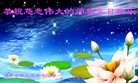 法轮功,湖南大法弟子恭贺世界法轮大法日暨师尊华诞(25条)
