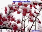 ֹ,ൺ󷨵ӹ編ִʦ𻪵(26)
