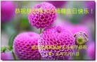 ֹ,󷨵ӹ編ִʦ𻪵(28)
