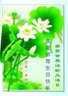 法轮功,湖南大法弟子恭贺世界法轮大法日暨师尊华诞(27条)
