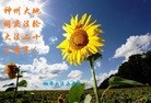 法轮功,湖南大法弟子恭贺世界法轮大法日暨师尊华诞(25条)
