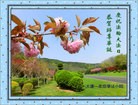 ֹ,󷨵ӹ編ִʦ𻪵(46)
