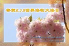 ֹ,Ϻ󷨵ӹ編ִʦ𻪵(26)
