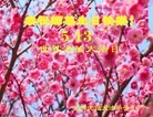 ֹ,ϴ󷨵ӹ編ִʦ𻪵(27)
