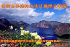 法轮功,长春大法弟子恭贺世界法轮大法日暨师尊华诞(29条)
