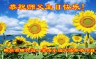 法轮功,湖南大法弟子恭贺世界法轮大法日暨师尊华诞(25条)
