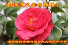法轮功,湖南大法弟子恭贺世界法轮大法日暨师尊华诞(25条)
