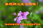 法轮功,湖南大法弟子恭贺世界法轮大法日暨师尊华诞(25条)

