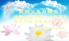 ֹ,󷨵ӹ編ִʦ𻪵(31)
