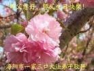 ֹ,ɽ󷨵ӹ編ִʦ𻪵(26)
