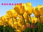 ֹ,󷨵ӹ編ִʦ𻪵(29)
