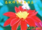 ֹ,󷨵ӹ編ִʦ𻪵(46)

