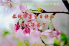 ֹ,ɽ󷨵ӹ編ִʦ𻪵(22)
