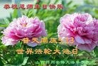 ֹ,ɽ󷨵ӹ編ִʦ𻪵(22)
