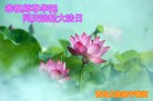 ֹ,ൺ󷨵ӹ編ִʦ𻪵(24)
