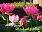 ֹ,ɽ󷨵ӹ編ִʦ𻪵(22)
