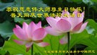 ֹ,ӱ󷨵ӹ編ִʦ𻪵(78)

