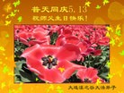 ֹ,󷨵ӹ編ִʦ𻪵(28)
