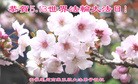 ֹ,մ󷨵ӹ編ִʦ𻪵(24)
