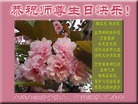 ֹ,󷨵ӹ編ִʦ𻪵(28)
