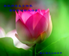 ֹ,ӱ󷨵ӹ編ִʦ𻪵(78)

