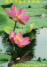 ֹ,ʡ󷨵ӹ編ִʦ𻪵(22)
