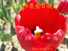 ֹ,ʡ󷨵ӹ編ִʦ𻪵(22)
