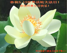 ֹ,ӱ󷨵ӹ編ִʦ𻪵(78)
