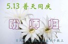 ֹ,󷨵ӹ編ִʦ𻪵(22)
