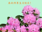 法轮功,湖南大法弟子恭贺世界法轮大法日暨师尊华诞(24条)
