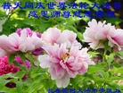 ֹ,ʡ󷨵ӹ編ִʦ𻪵(22)
