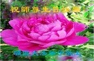 ֹ,ɽ󷨵ӹ編ִʦ𻪵(20)
