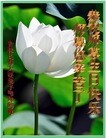法轮功,长春大法弟子恭贺世界法轮大法日暨师尊华诞(21条)
