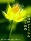 ֹ,մ󷨵ӹ編ִʦ𻪵(24)
