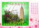 法轮功,重庆大法弟子恭贺世界法轮大法日暨师尊华诞(27条)
