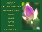 ֹ,󷨵ӹ編ִʦ𻪵(20)
