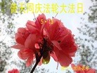 ֹ,㽭󷨵ӹ編ִʦ𻪵(22)
