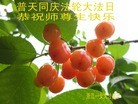 ֹ,㽭󷨵ӹ編ִʦ𻪵(22)
