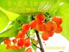 ֹ,㽭󷨵ӹ編ִʦ𻪵(22)
